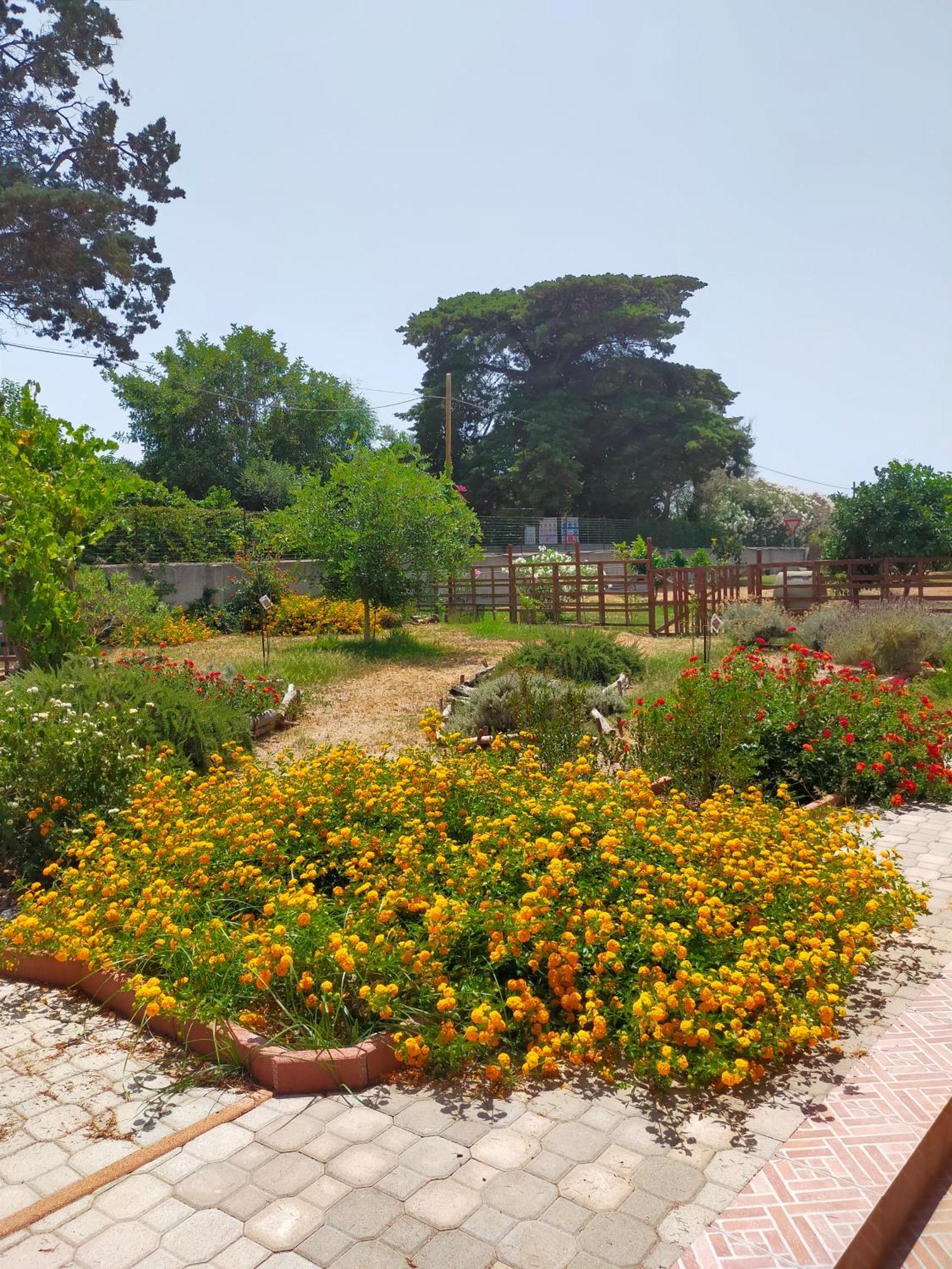 Villa Casa Marina Lu Tuvaraggiu Casa Vacanze à Sorso Extérieur photo